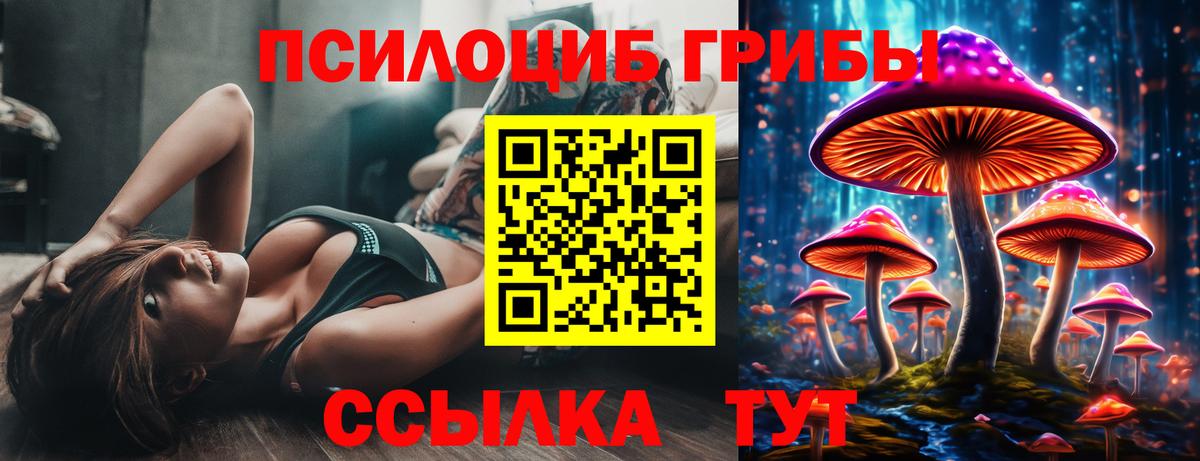 наркота  Вход с VPN  Янаул  Псилоцибиновые грибы ЛСД 